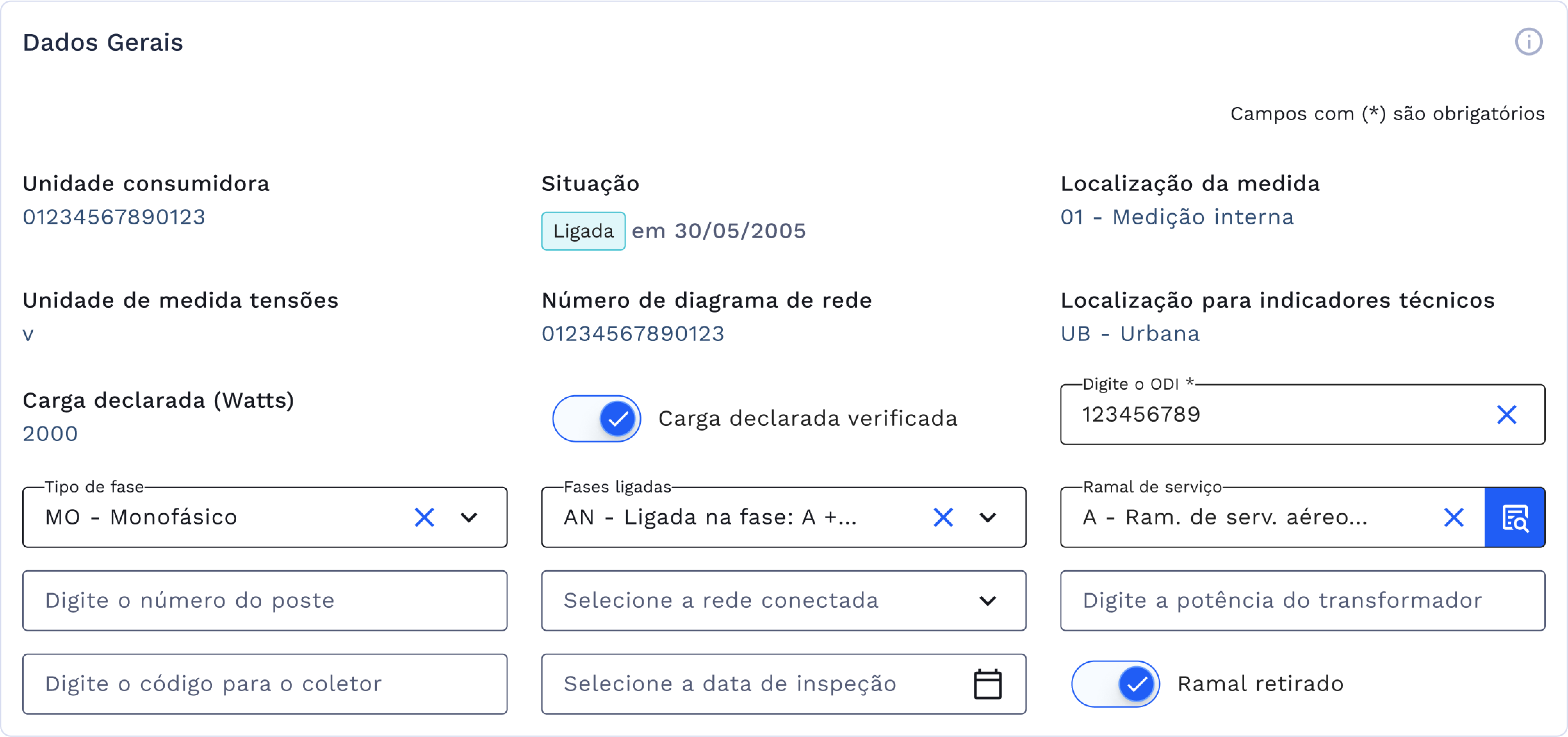 Grupo de campos: Dados Gerais
