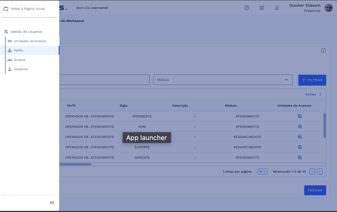 Menu: Gestão de Usuários - Perfis