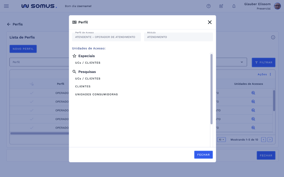 Perfil - Unidades de Acesso